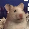 ambar12202