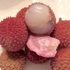 soapberrry