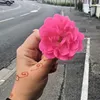 c.moi_26