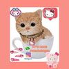 latasitadelgato
