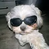 belinger_1