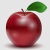 apple.www2024