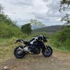 deanomt10sp