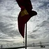 garung8888