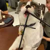 betdeptrai