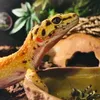 the_grim_gecko