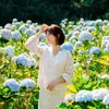 huongmina_244