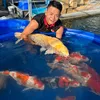 VINH KOI NHẬT: 0378322536