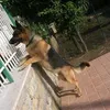 ilariom