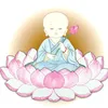 lienhoa.tinham