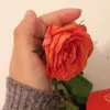 yosra.yosef