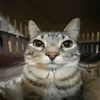 bas_91140