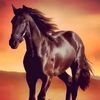 alfaras11