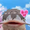 enderschwepps