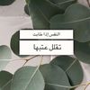 user82152104