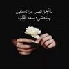 user030679359