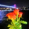 rayansul8