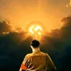 hamzashaimed1