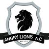 angrylions3