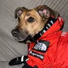 scotty_kundelek_parowka