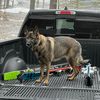 echo_charlie_gsd