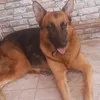 romildalima33