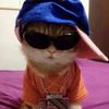 user25719676