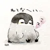 quagpopyzzz