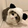 sweetly