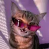 _la_gatita_x