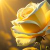 yellowrosieeee