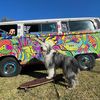 bowiesbus