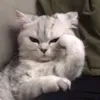 zupppppl