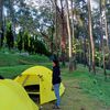 bayupeh_
