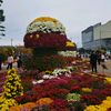 khong.co.tien.dau