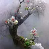 cuongthjnhluxury