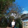 khunnaing8788