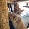 manycatz22