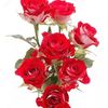 mominahmad13