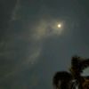 morningsun077