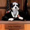 judgedoggo