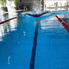 timdernetterlo0