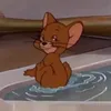 coco_pm.z