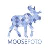 moosefoto