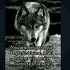 wilfredo93