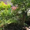lenguyenbao4