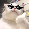 _jer_2