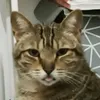 nau_wtwab