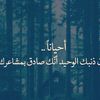 user266337331