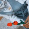 tala_majdy